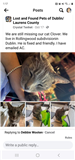 crystal tenhat missing cat