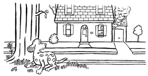 Sparky Outside of a House