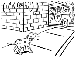 Sparky Hears a Siren