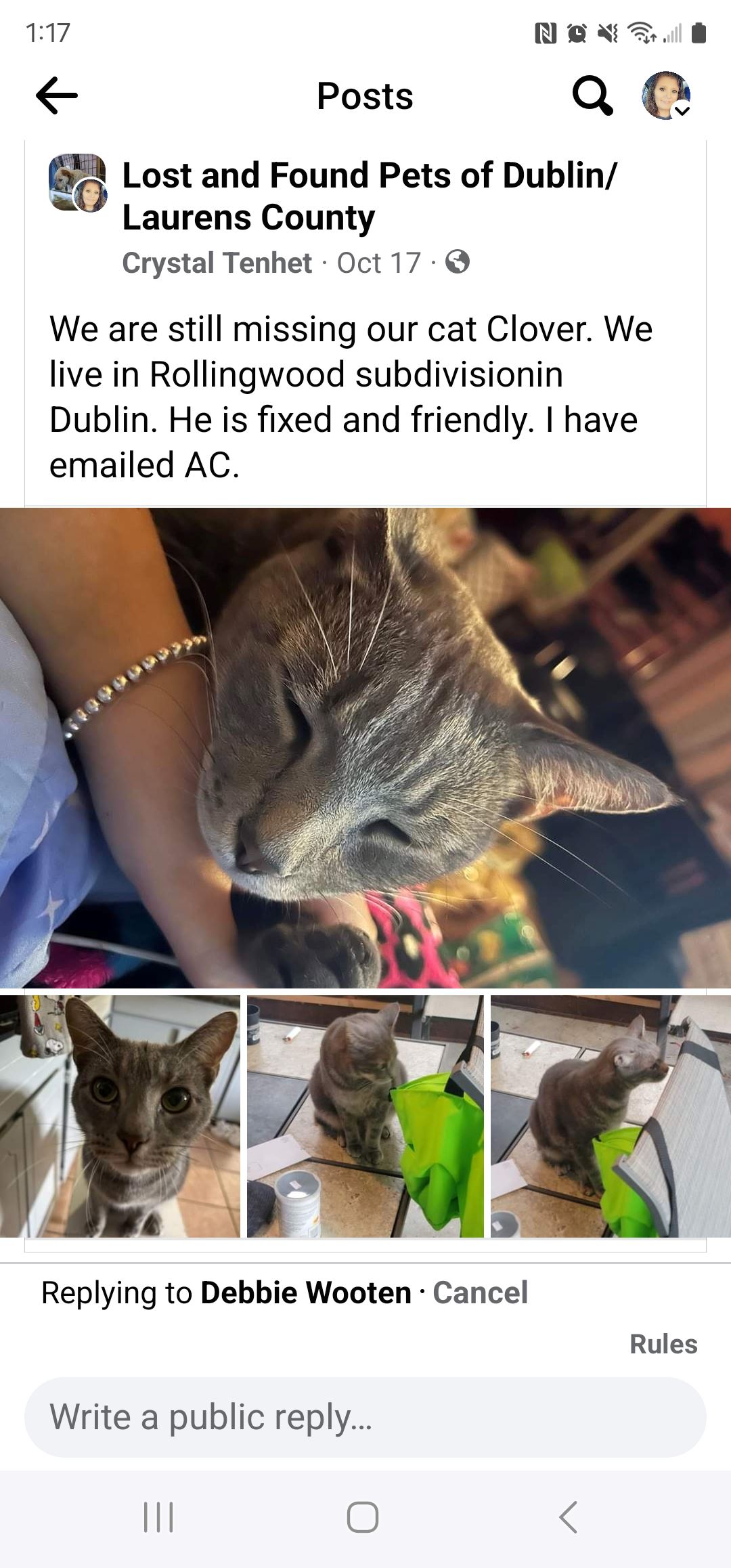 crystal tenhat missing cat